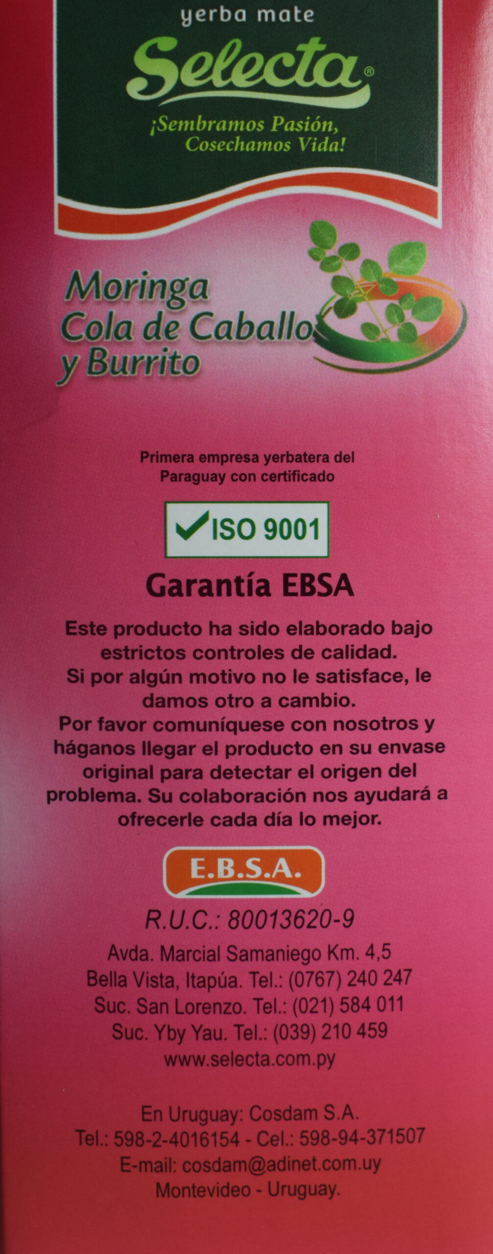 selecta moringa