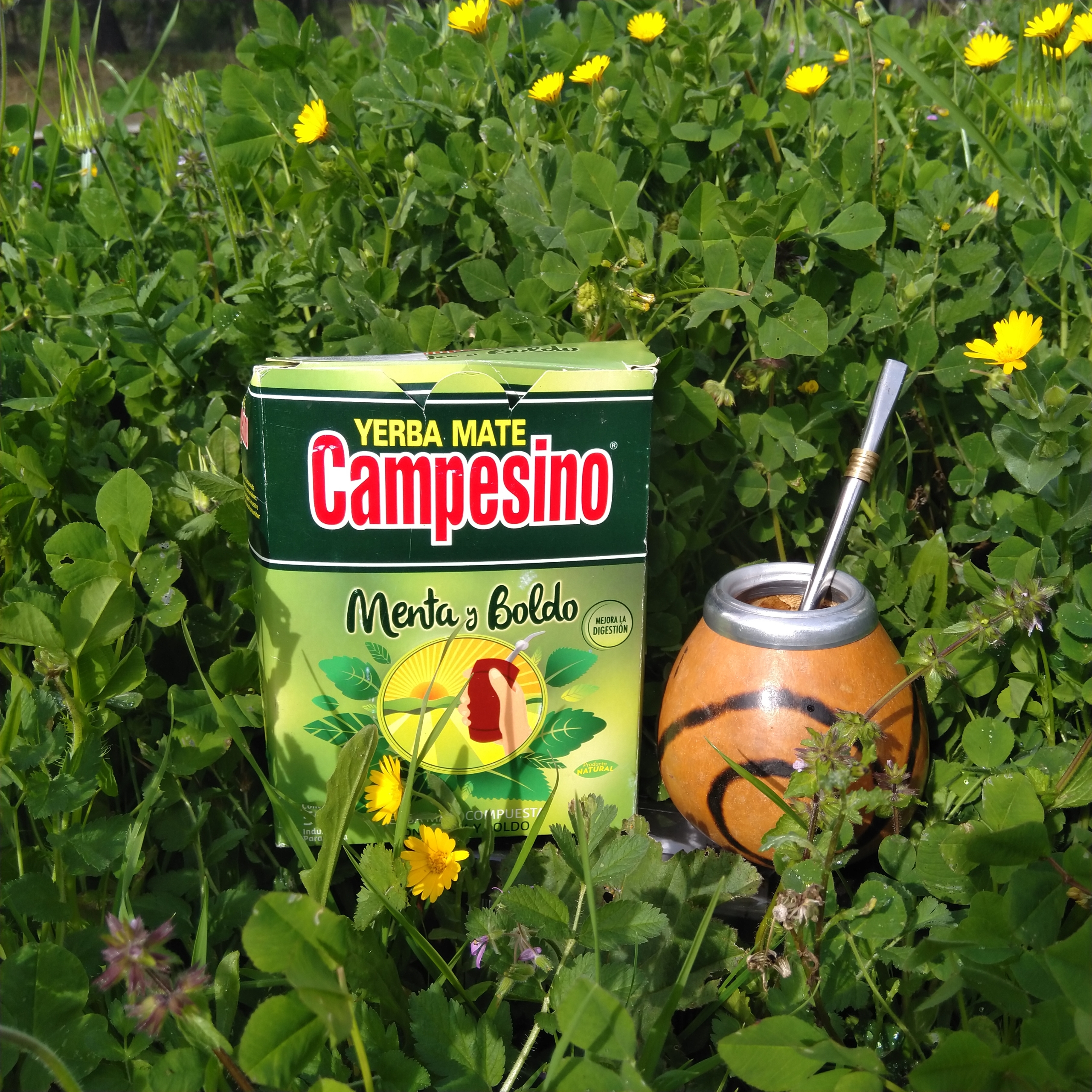 Campesino Menta y Boldo - Afbeelding 4